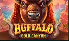Slot Buffalo Gold Canyon bei SpinBetter